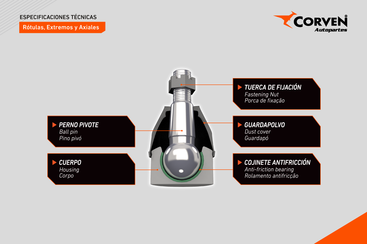 linealiviana_rotulasextremosyaxiales_corven linealiviana_rotulasextremosyaxiales_corven